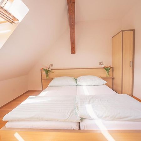 Hotel Daviduv Mlyn à Staré Těchanovice Extérieur photo