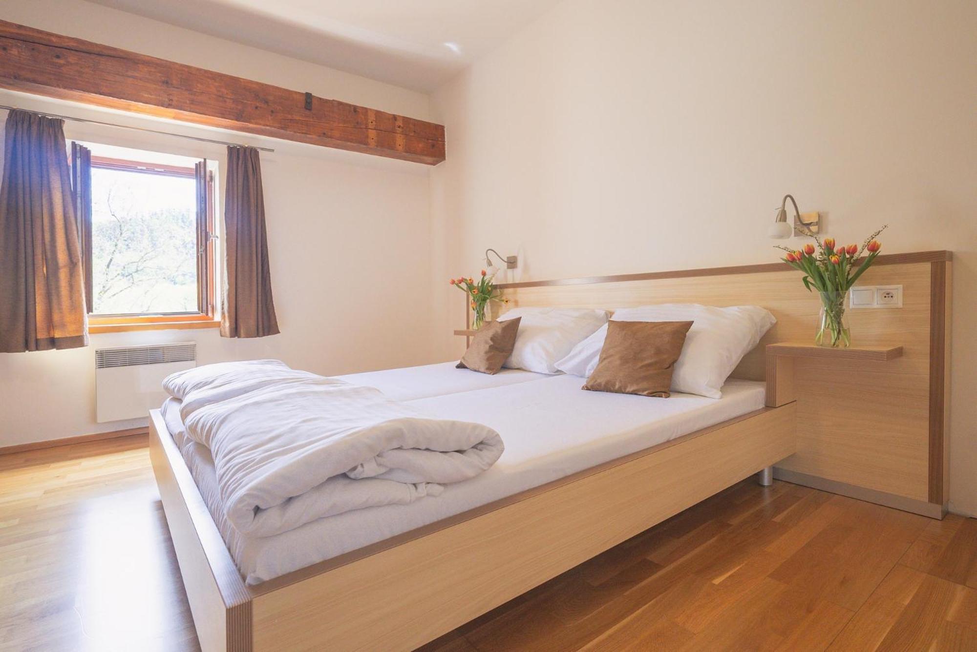 Hotel Daviduv Mlyn à Staré Těchanovice Extérieur photo